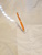 Orange Acrylic pen